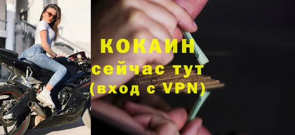 гашик Белоозёрский