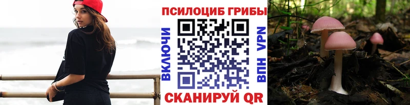 Галлюциногенные грибы прущие грибы  хочу наркоту  даркнет клад  Красково  ОМГ ОМГ  